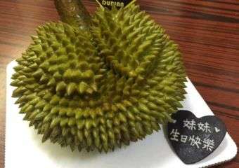 Durian Q1