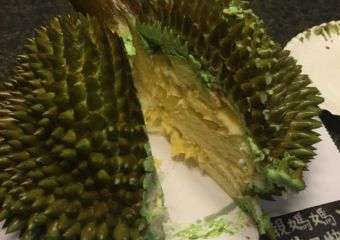 Durian Q2