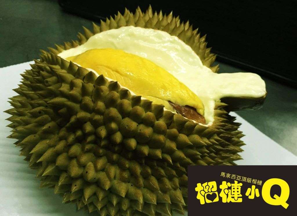 Durian Q5