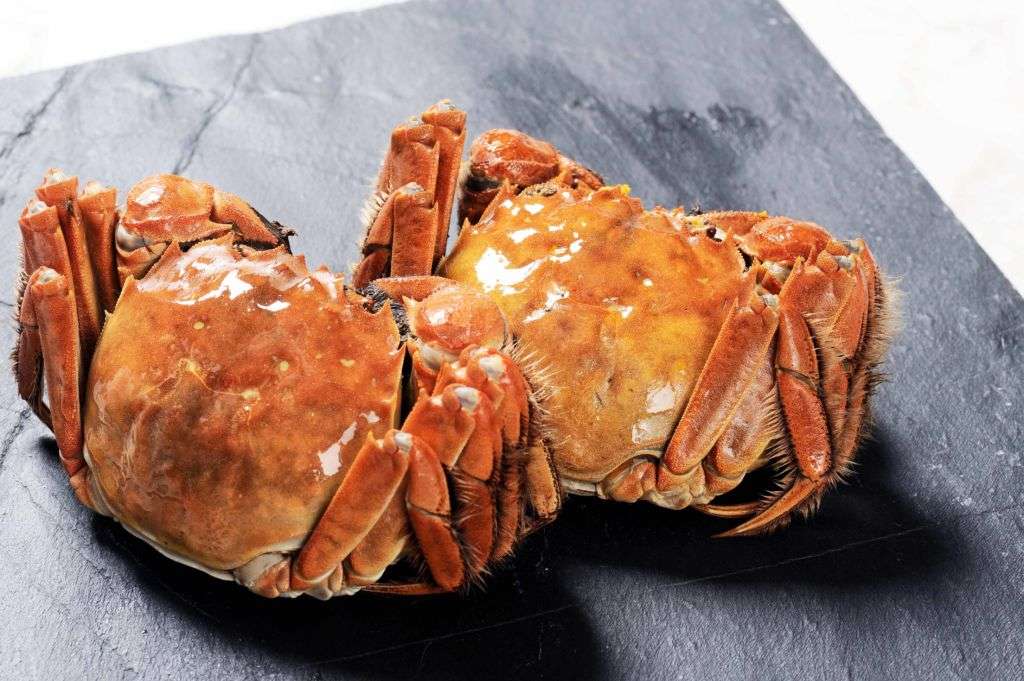 hairy crab