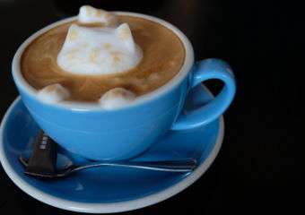 Cafe Bleisure cat latte