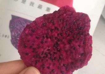 Fruiton dried dragonfruit snack