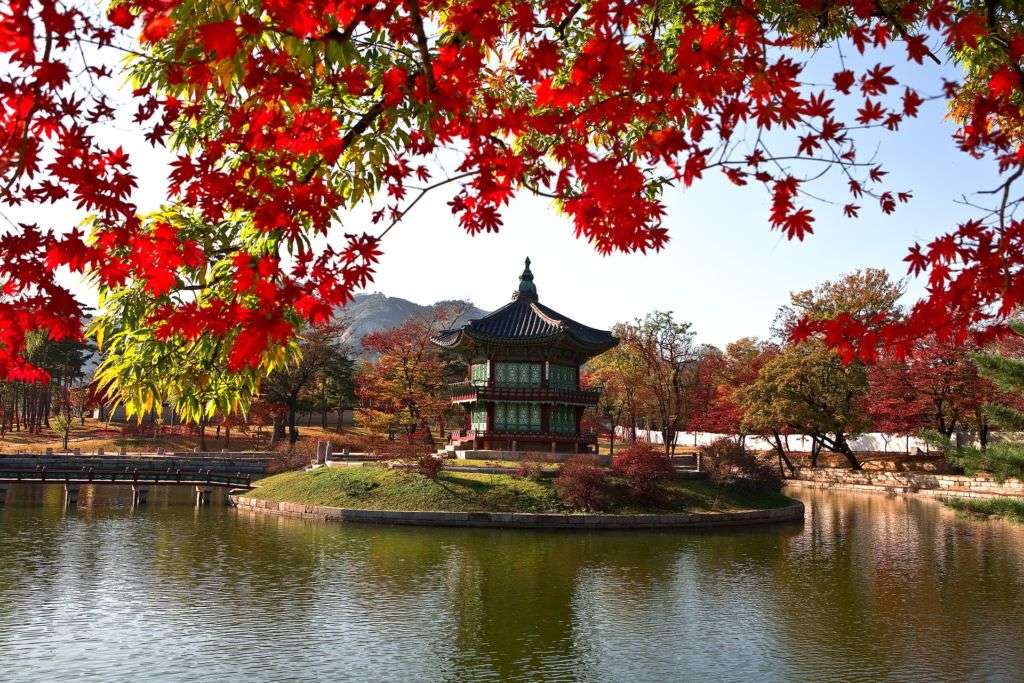 Park in Seoul, South Korea