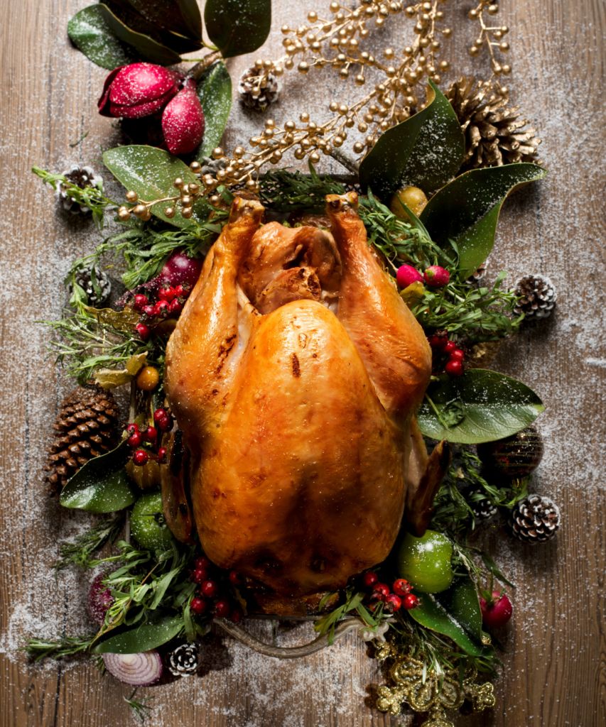 A roasted turkey shot from above and nestled in holiday greenery. 