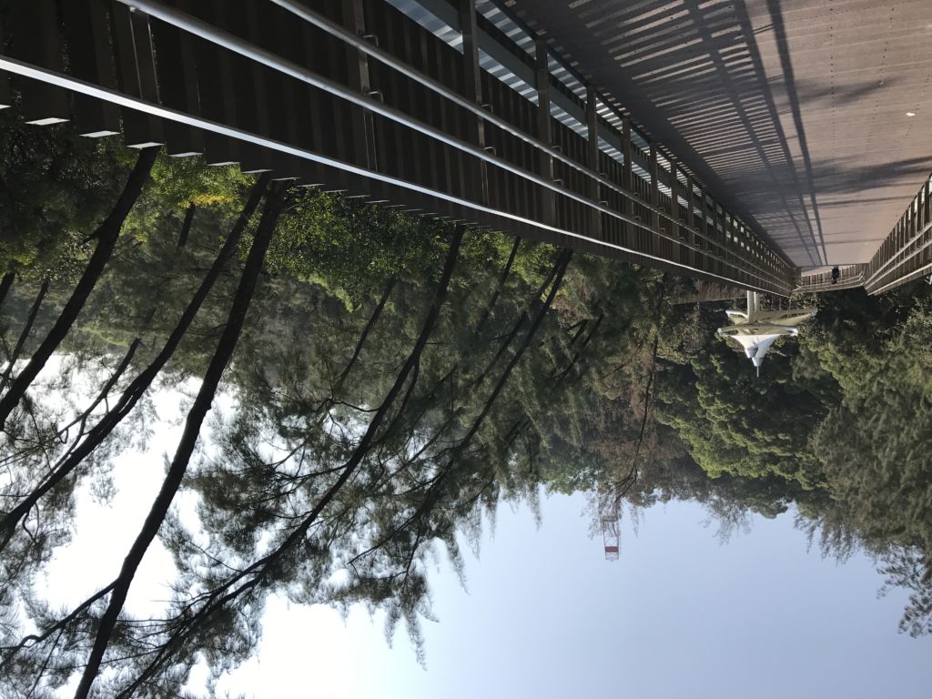 MACAU TOURS visual data 4