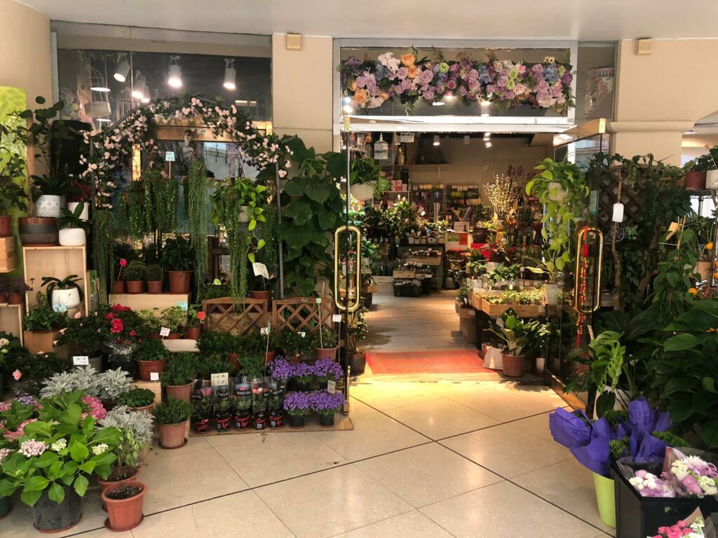 Macau Orchid Florist