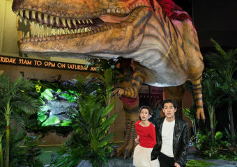 Studio City Dinosaur
