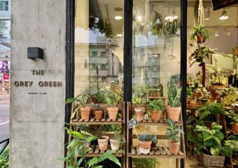The Grey Green Exterior Door Macau Lifestyle