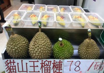 Durian Garden durian