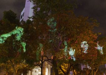 Harbour Arts Sculpture Park 2018, Installation view Trees