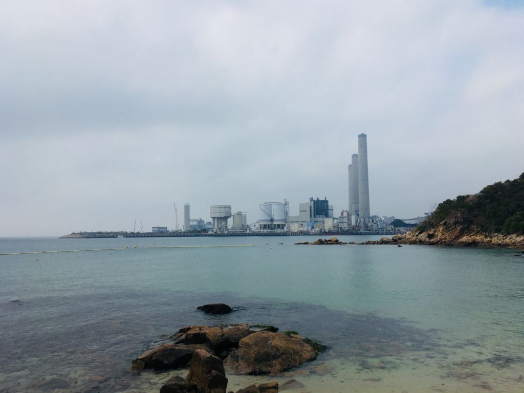 lamma island sea plant