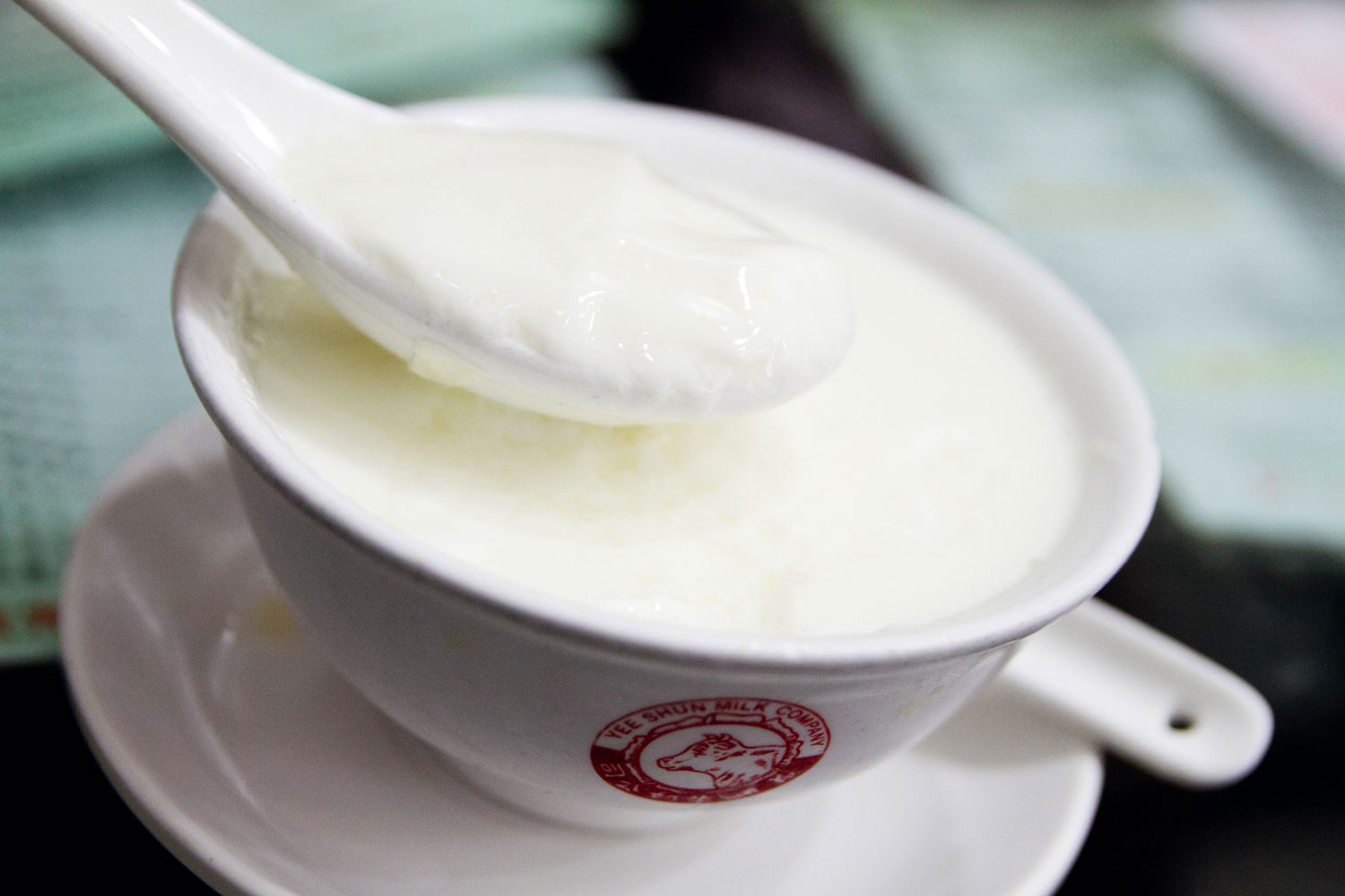 Macau dishes steamed milk pudding