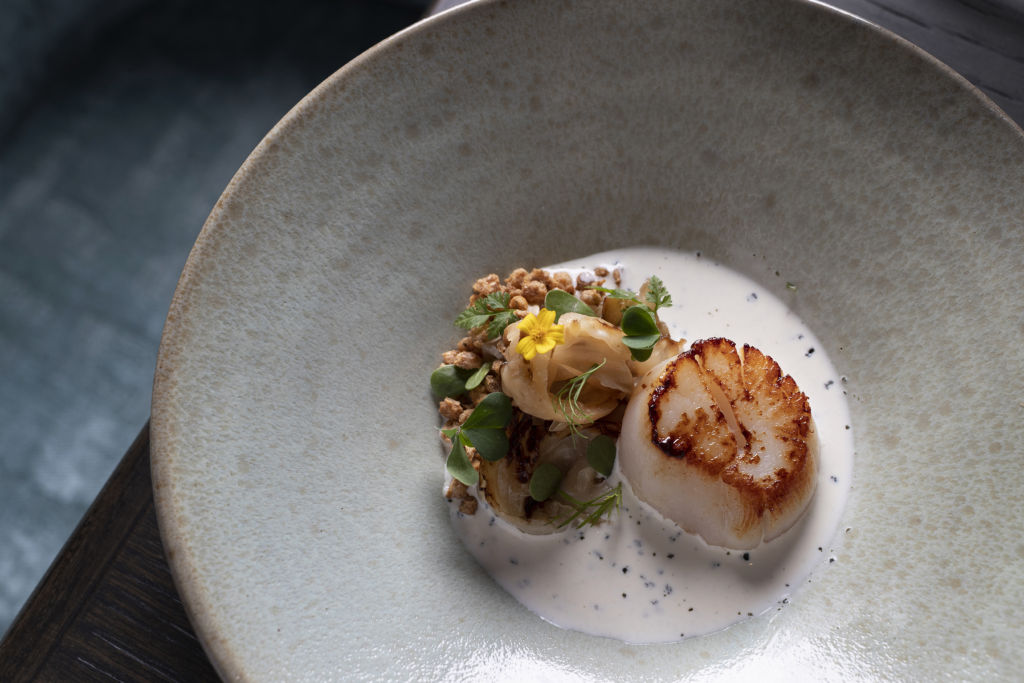 Pan fried scallops at the statement