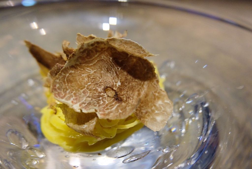 a nu white truffle