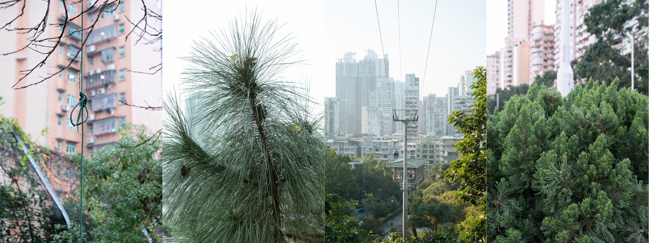 art garden exhibition