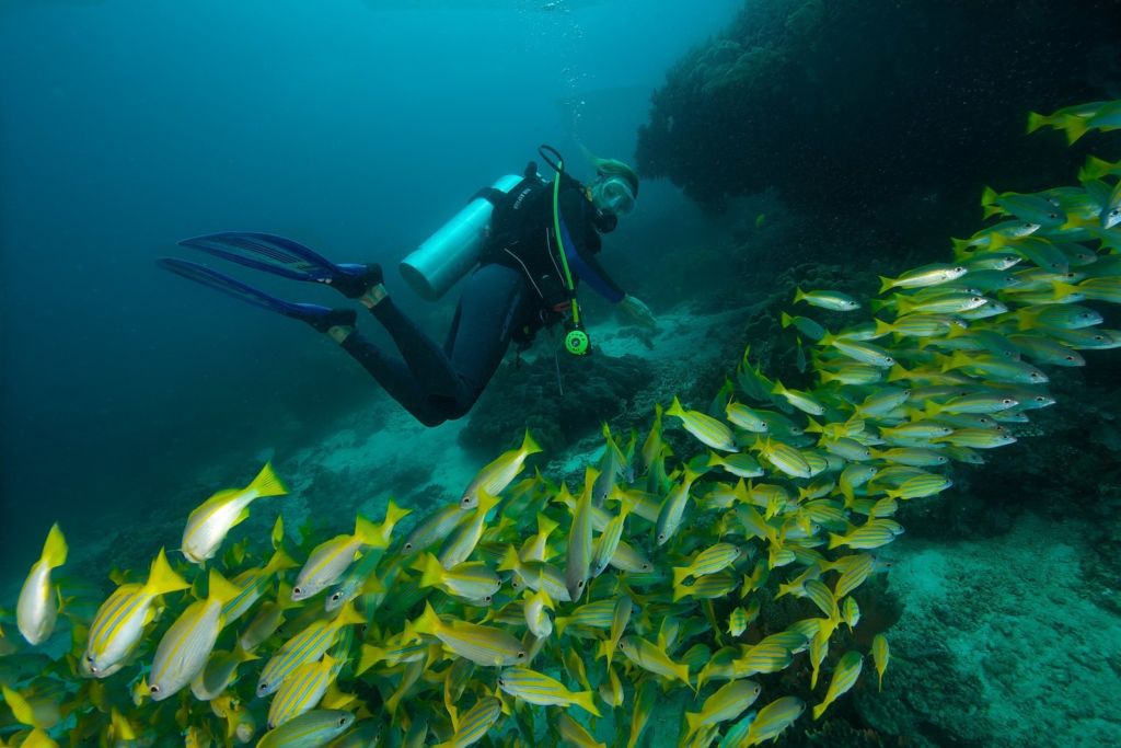 Scuba diving in Raja Ampat, Indonesia