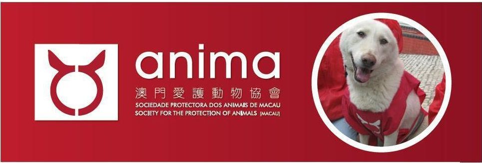 anima banner how to help animals in macau