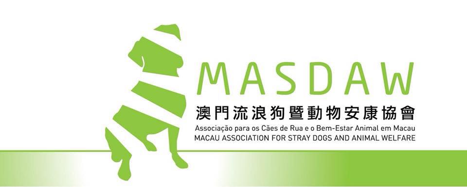 masdaw animal shelter how to help animals in macau lifestyle