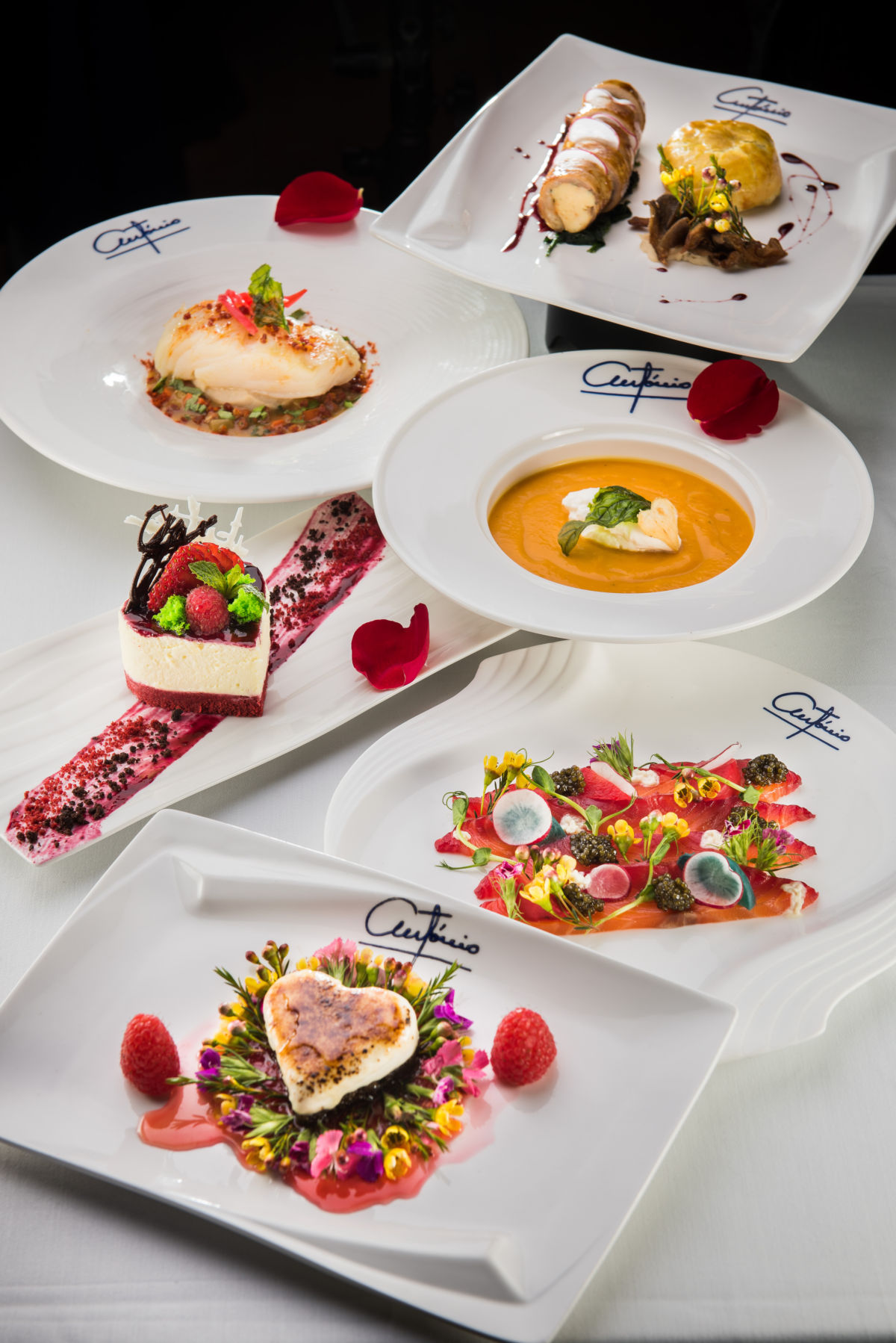 antonio valentines day 2019