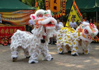 Lion and Dragon Dance Lunar New Year