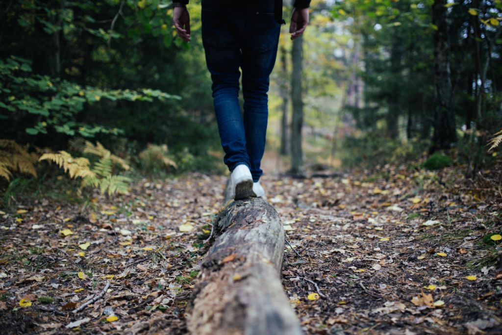 healthy new year Person walking on log in woods