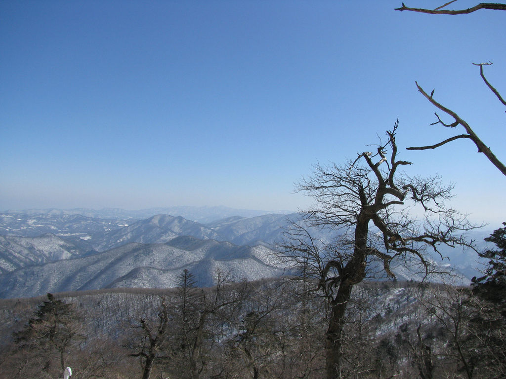 Yongpyong Ski Resort Taebaek mountains