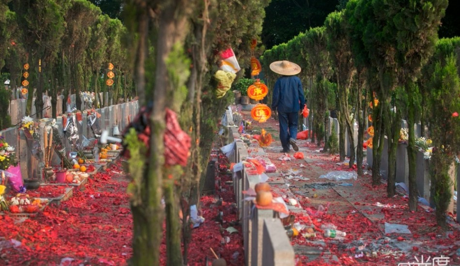 What is Qingming Festival or Tomb Sweeping Day? The Chairman's Bao