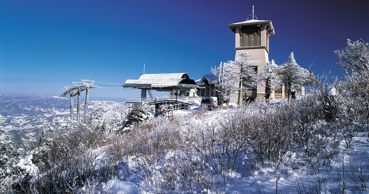 Vivaldi Ski Resort Korea