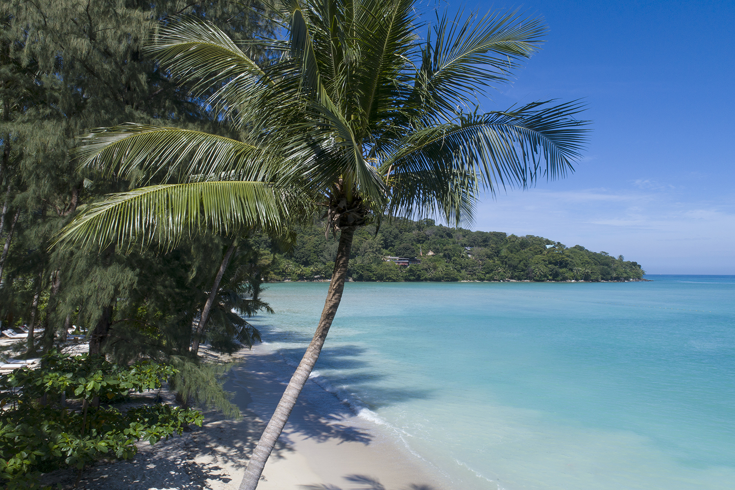 Rosewood Phuket hotel beach palms