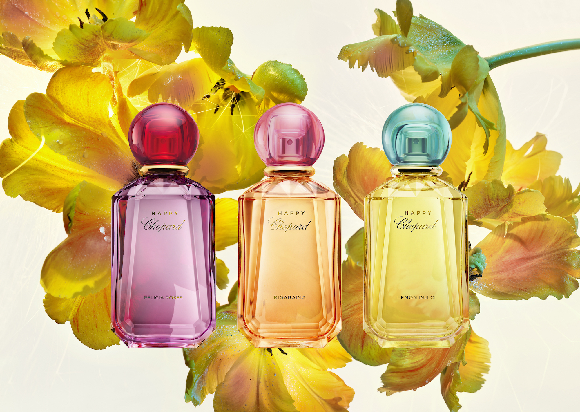 happy chopard bigaradia