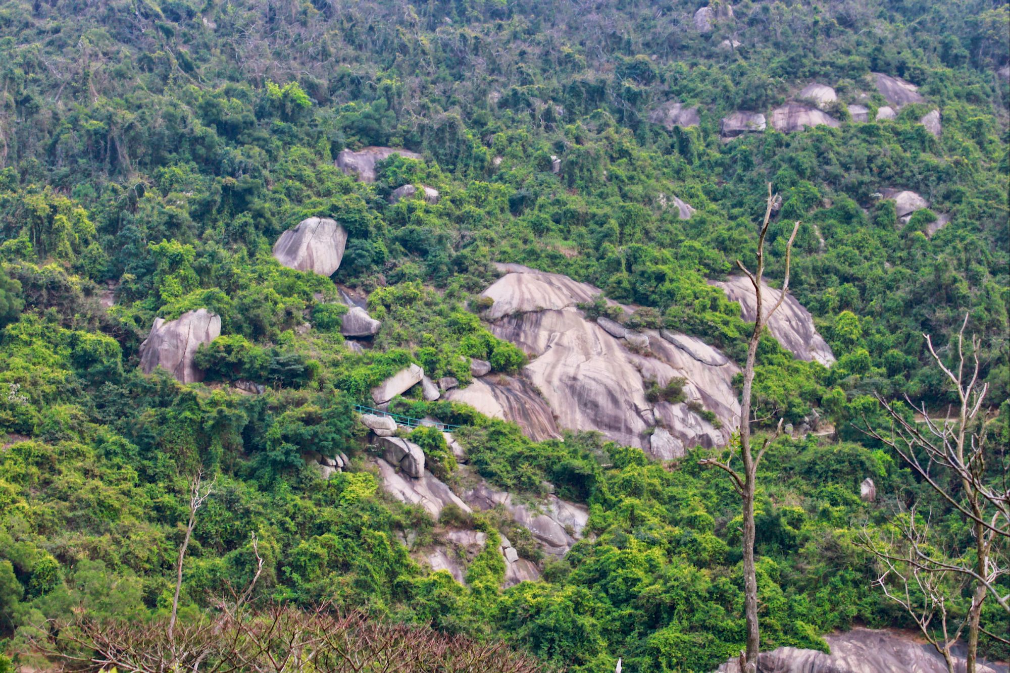 Coloane hiking trail