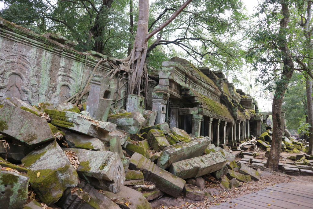 Angkor - Ta Prohm