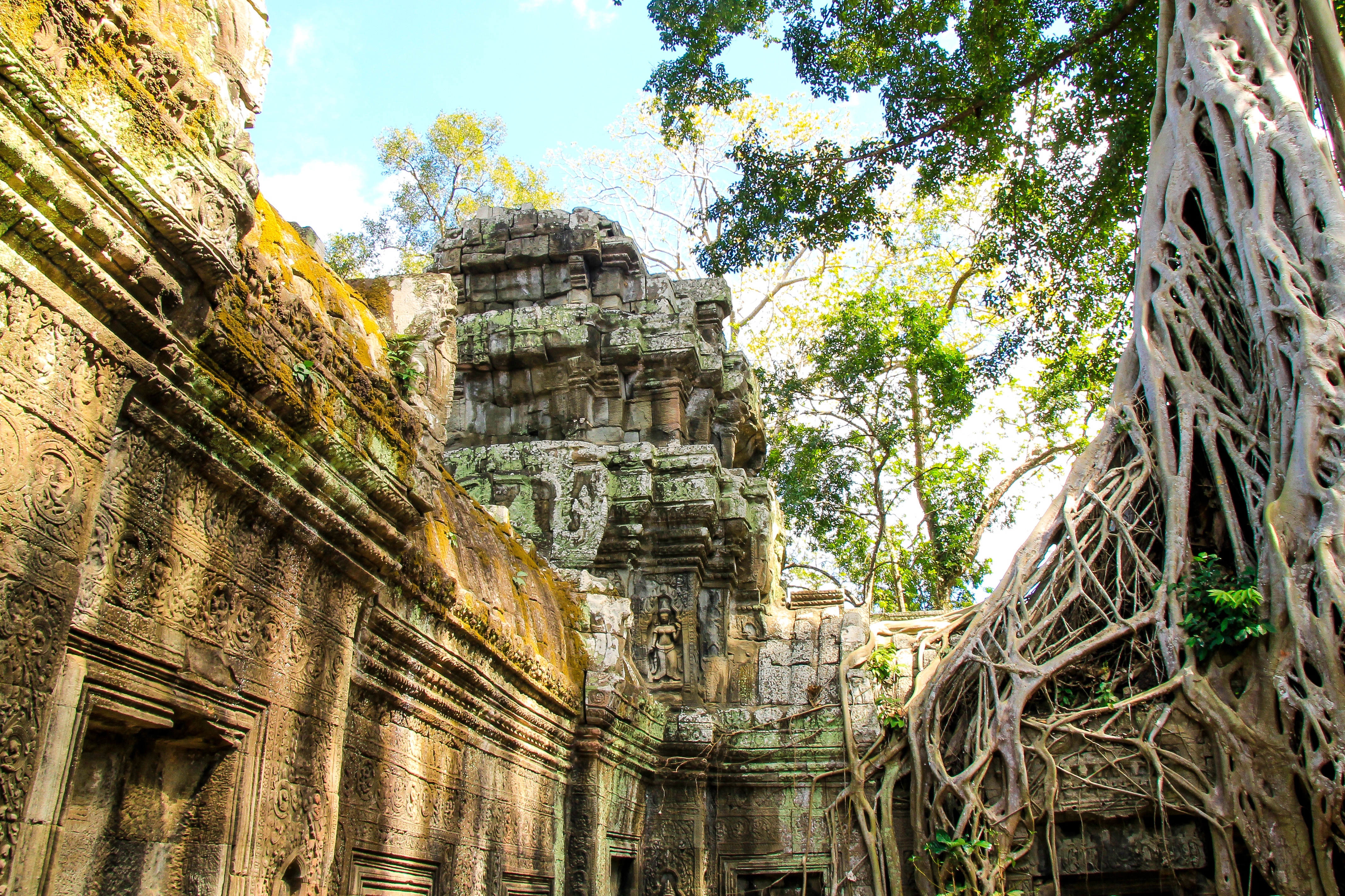 Angkor -Ta Prohm temple