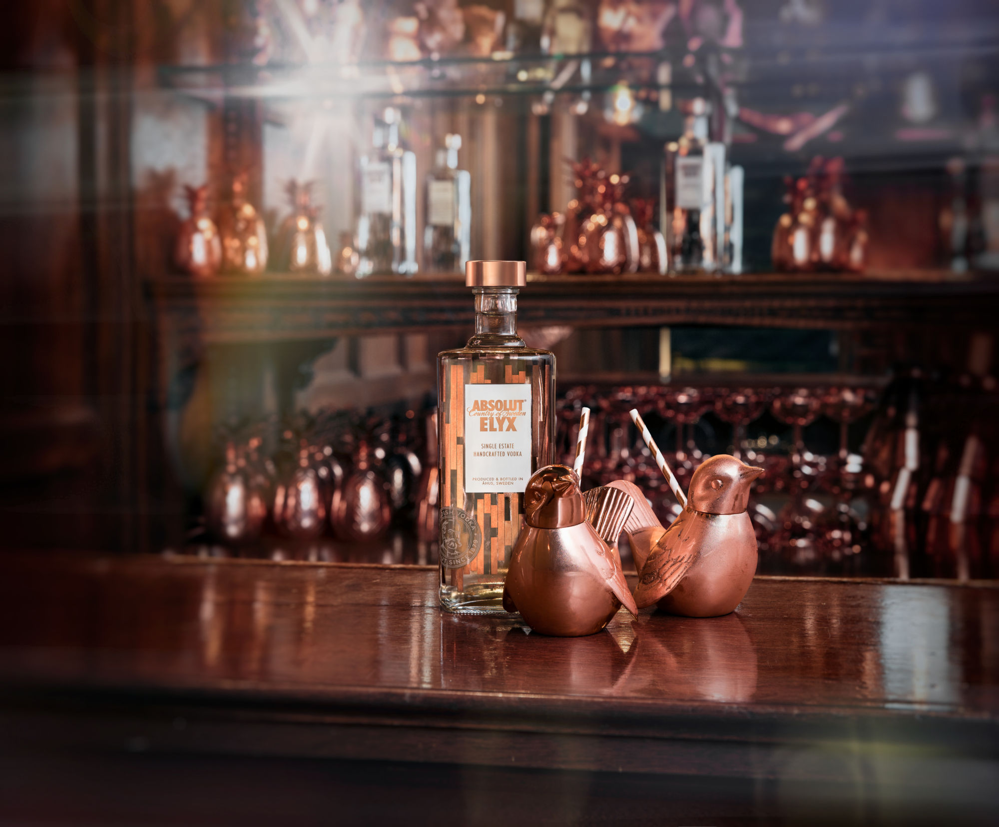 elyx vodka vida rica bar