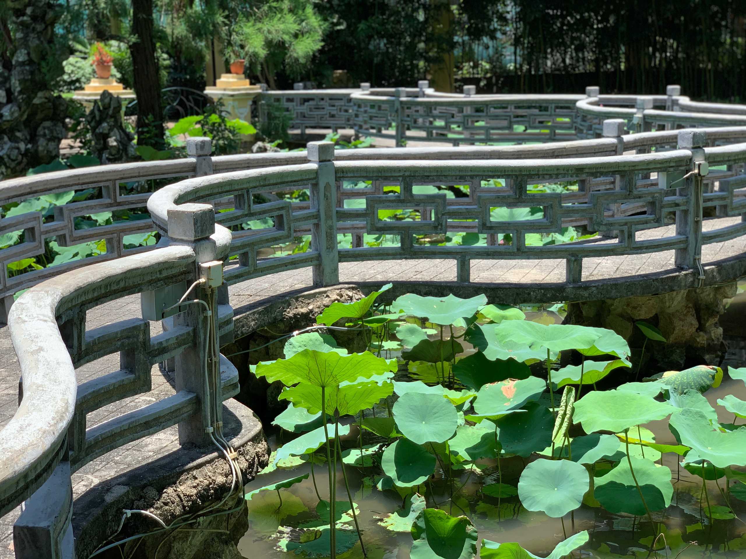 lou lim ieoc garden bridge