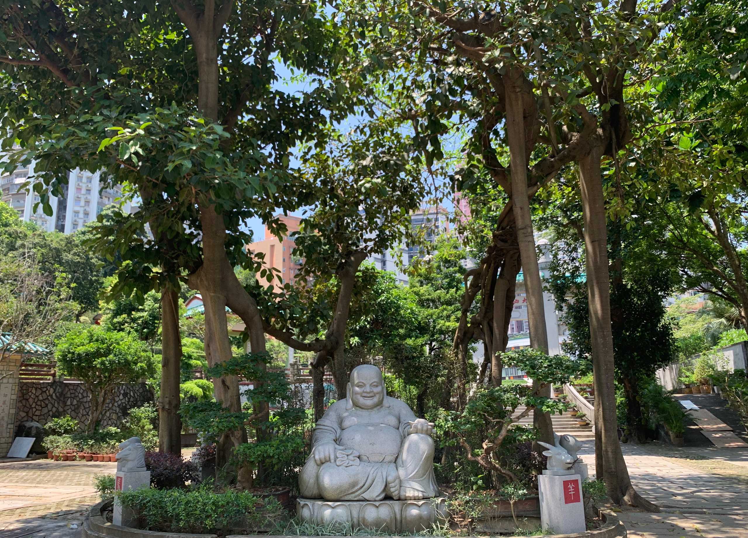 buddha trees kun iam temple