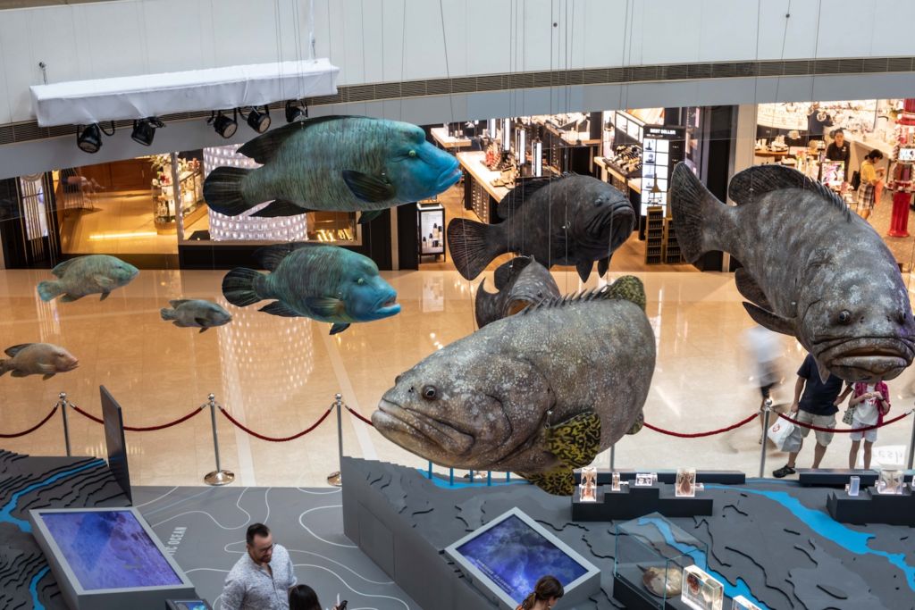 ifc mall – Wonders of the Ocean – Ocean Giants_2