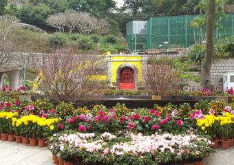 Must Visit Garden Macau