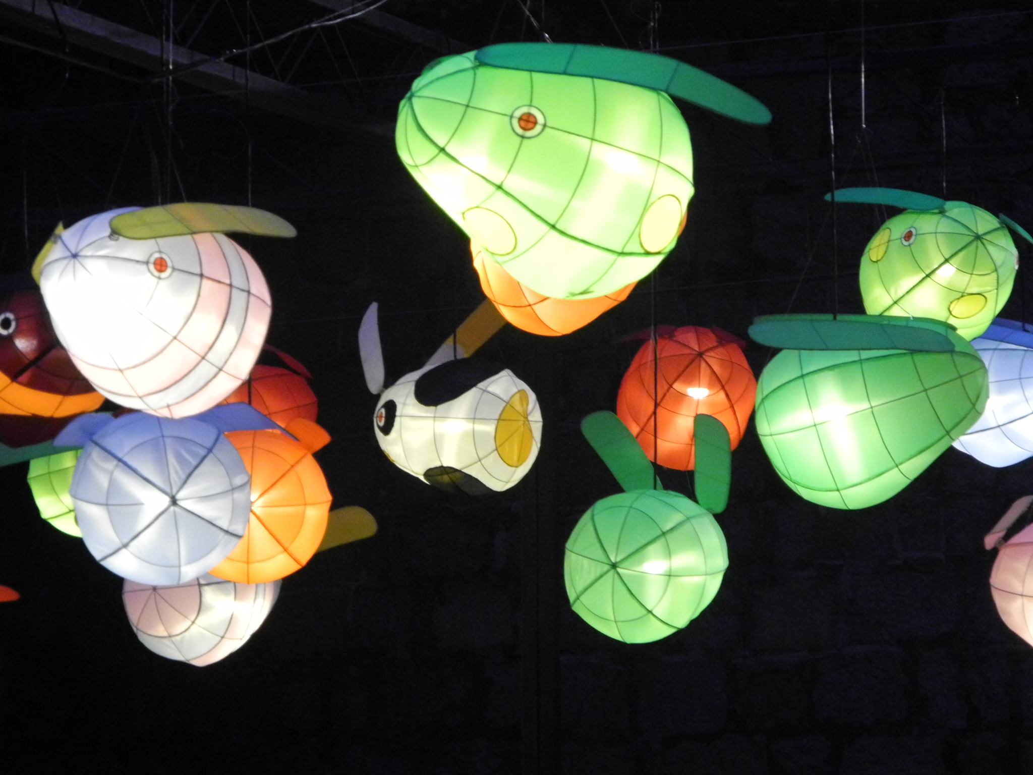 Lanterns Marreiros Albergue 2019