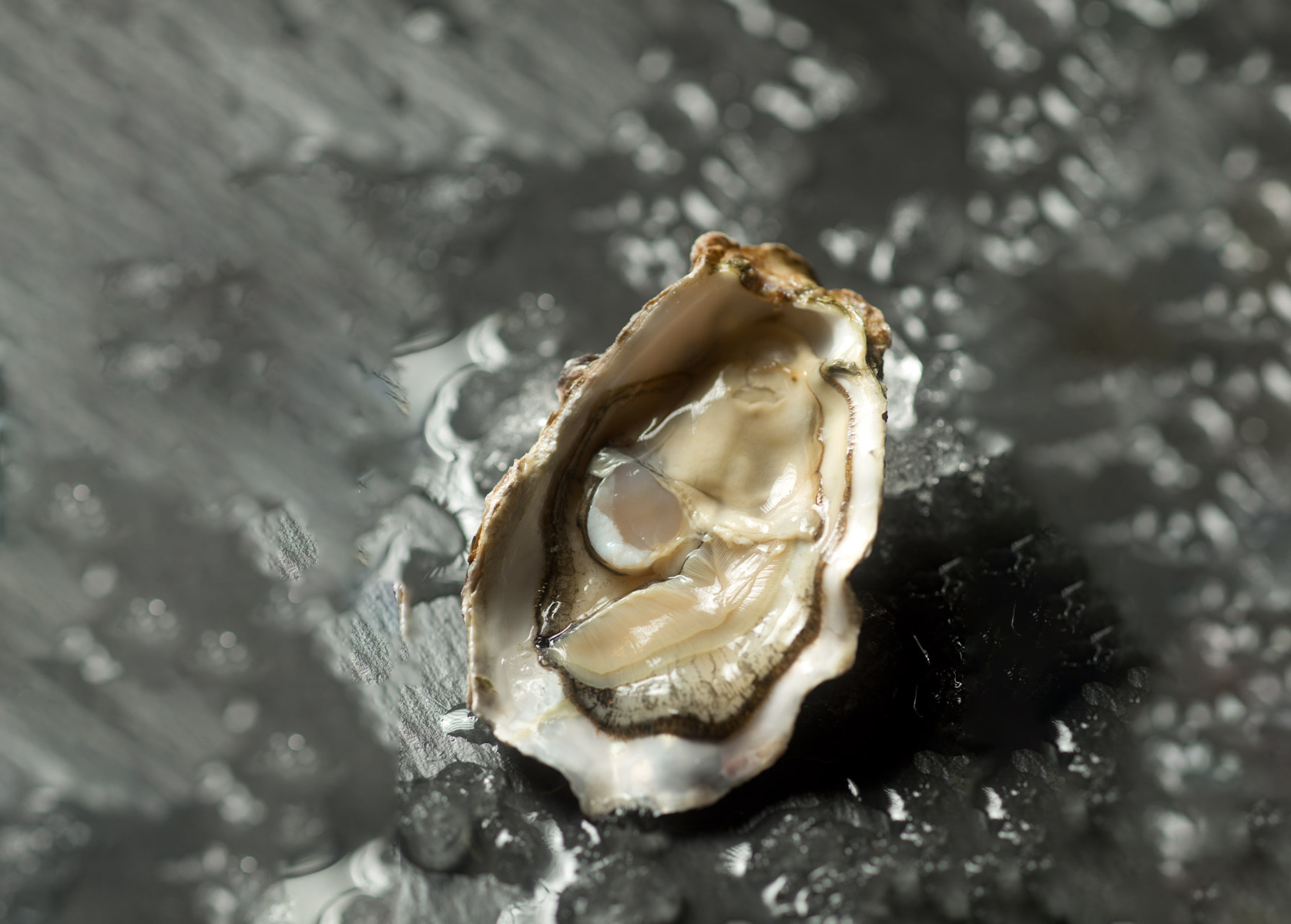 Photo-Mandarin Oriental, Macau-Vida Rica Restaurant-oyster (5)