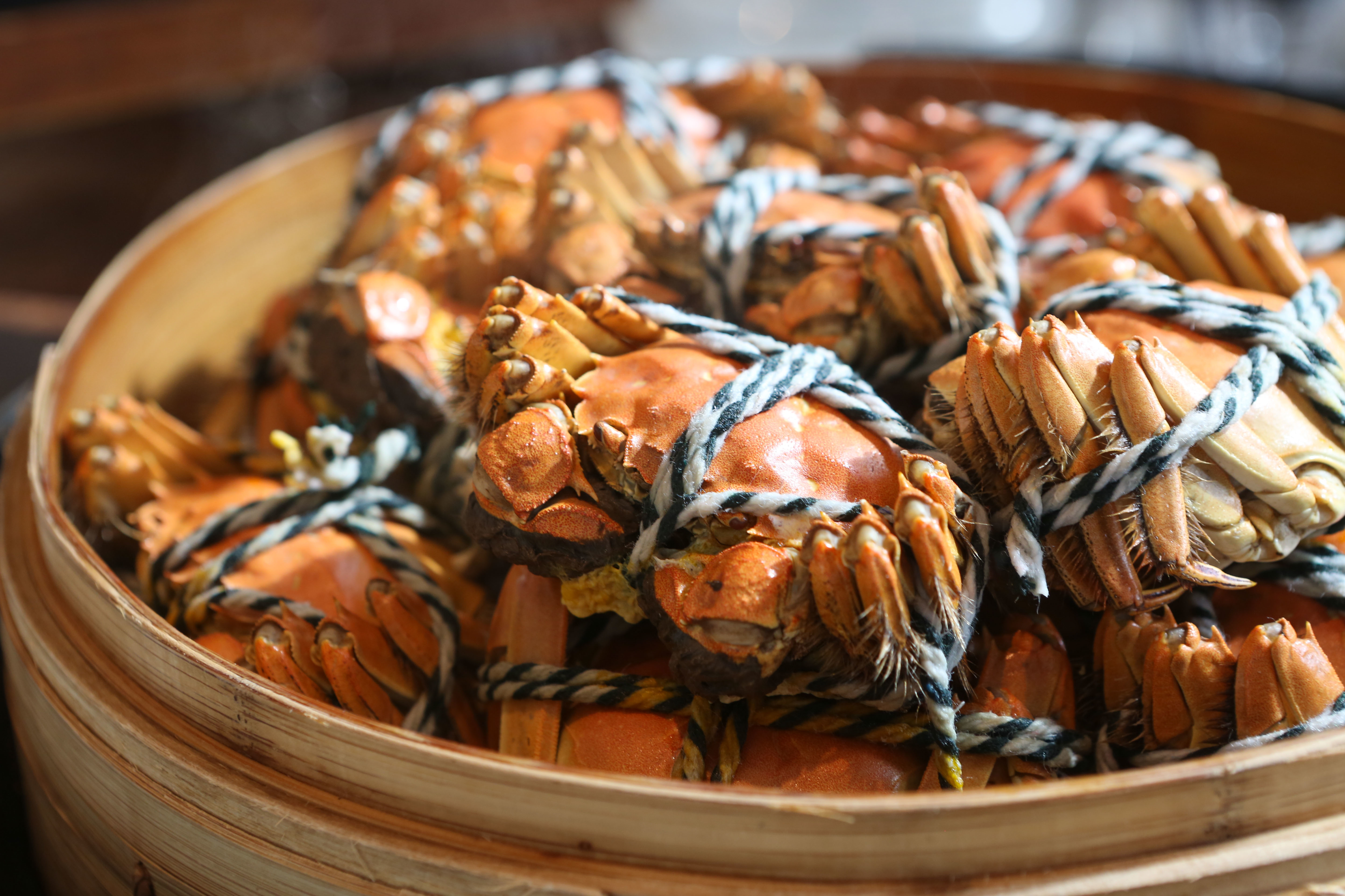 Mistral Restaurant Steamed Hairy Crab this weekend macau