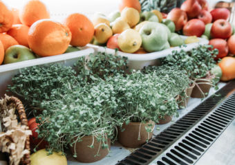 The Blissful Carrot Microgreens and fruits