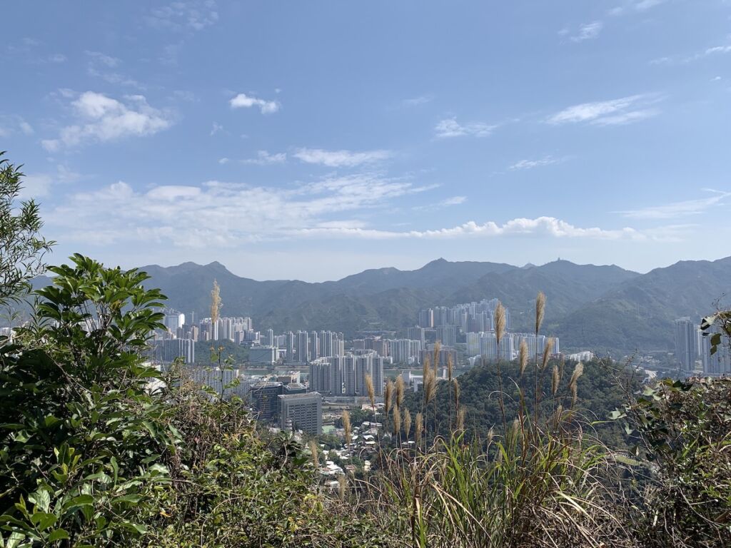 MacLehose Trail Section 7 IMG_1260