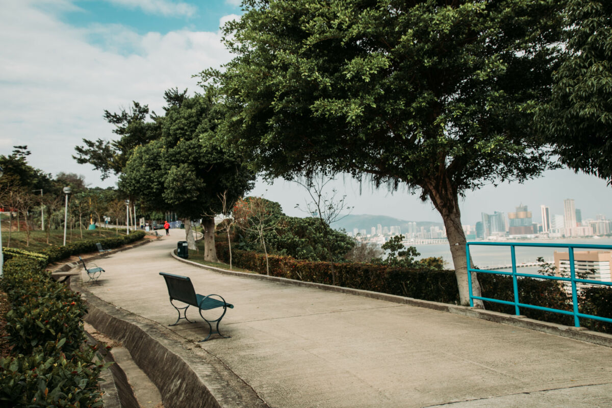 Taipa Grande Nature Park boardwalk and skyline