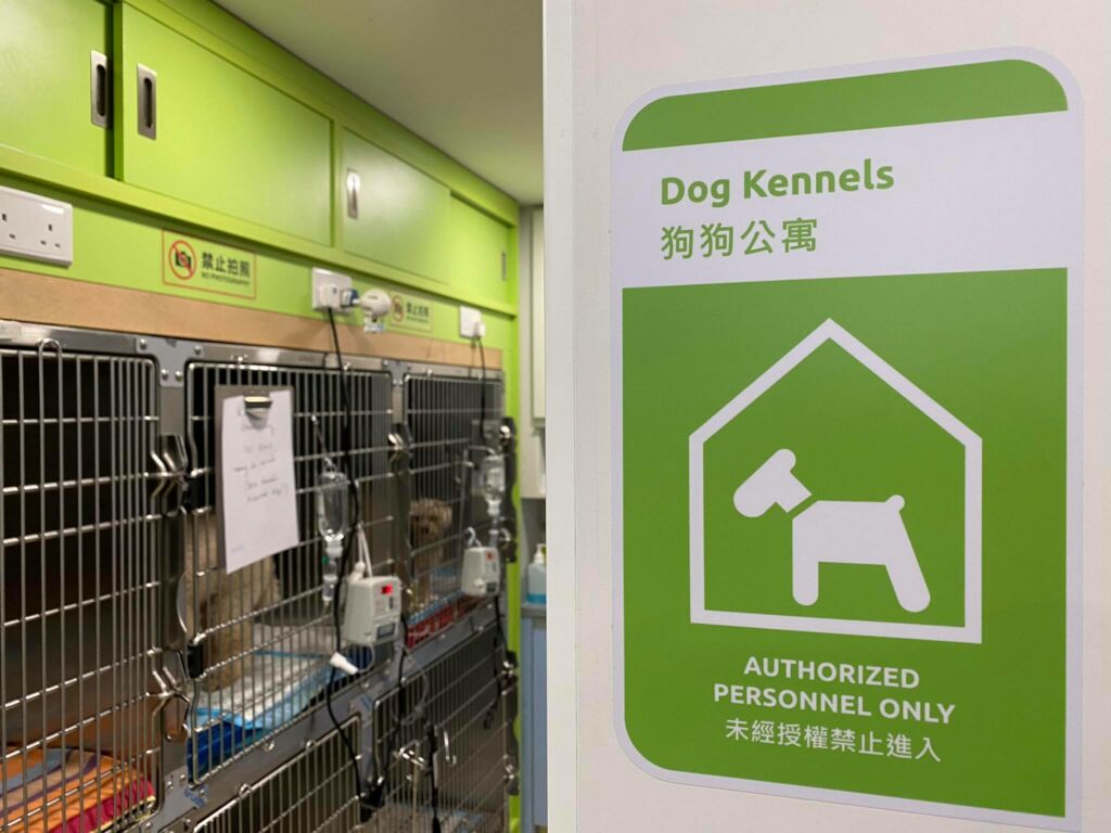 Green Cross veterinary clinic dog area macau