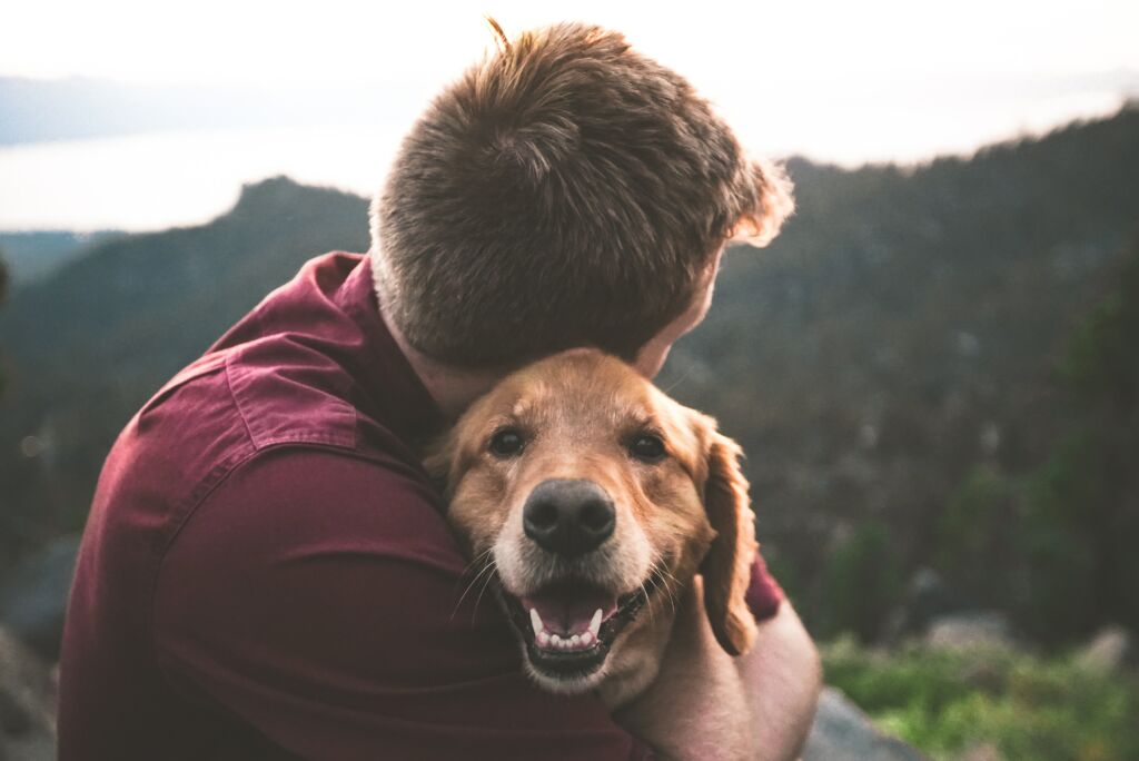 Human hugging a dog