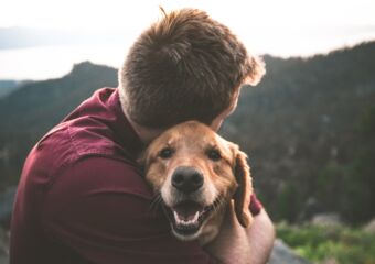 Human hugging a dog