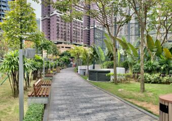 Taipa Central Park Green Area Path Macau Lifestyle