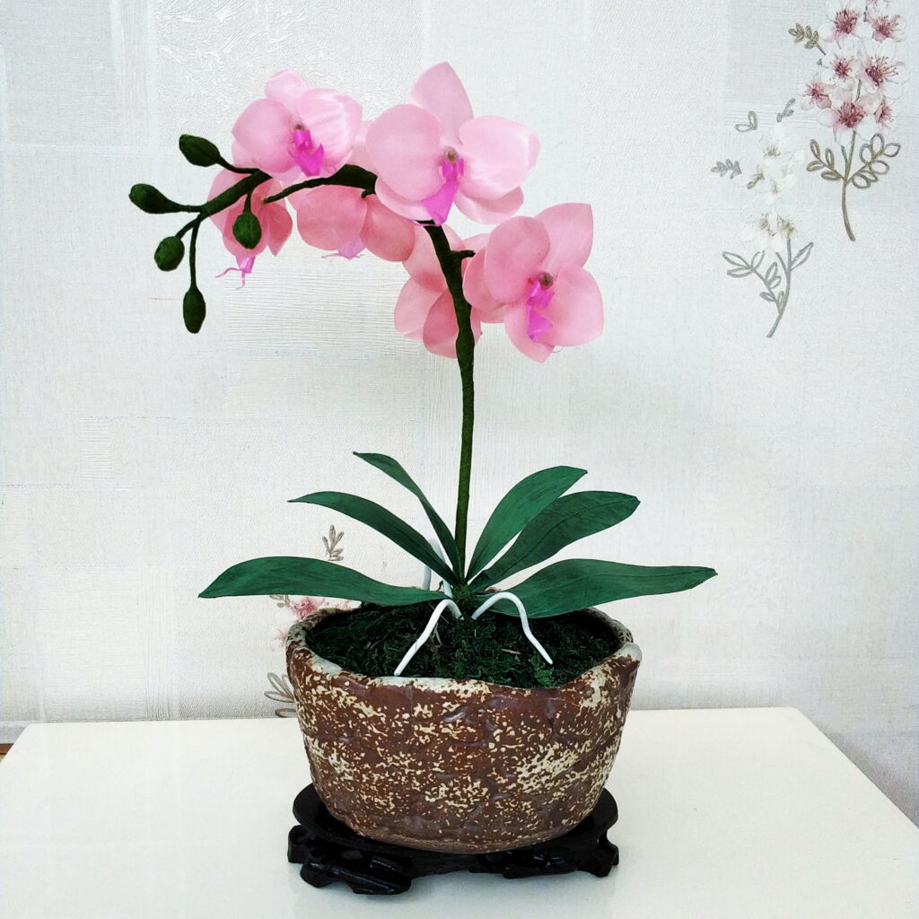Gracefull Exhibition Flower Orchid on Table