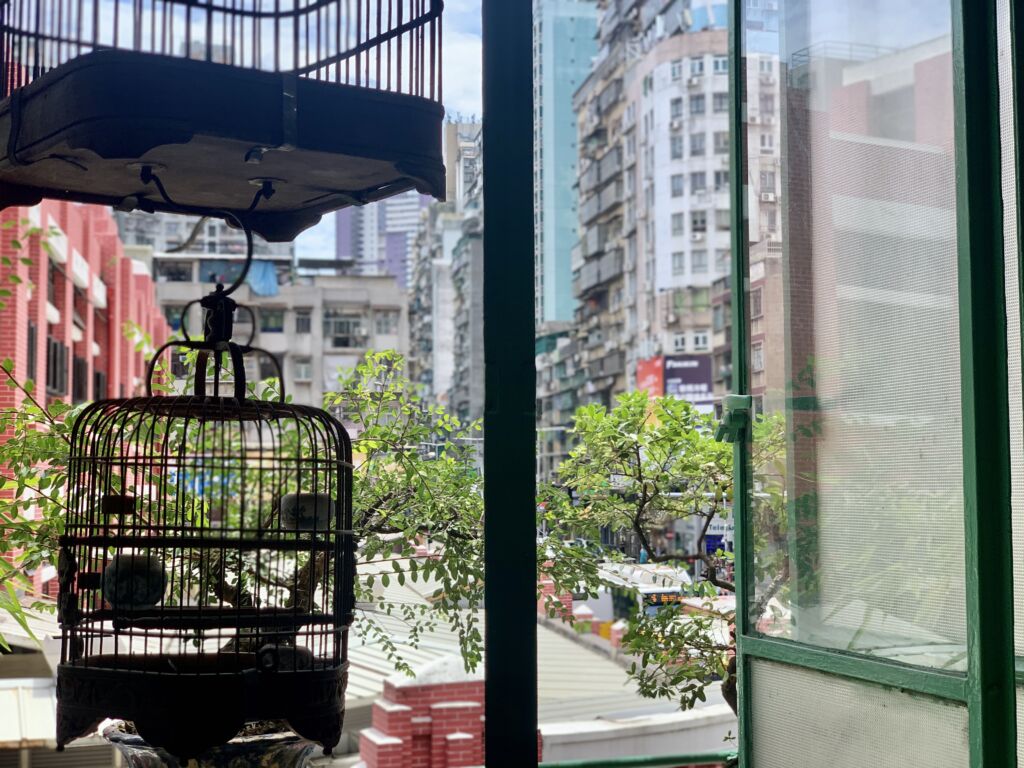 Long Wa Tea House Indoor Bird Cages on the Window Macau Lifestyle